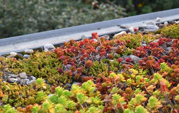 the cost of Eggborough green roof installation