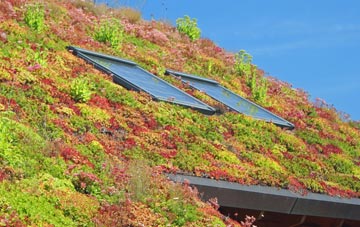 Eggborough living roof systems