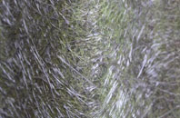 Eggborough fibreglass roof work